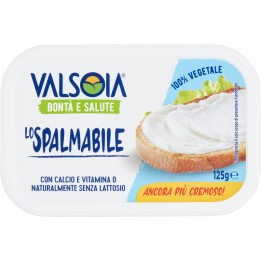 VALSOIA LO SPALMABILE 125GR