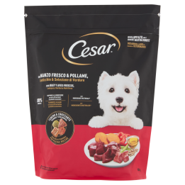 CESAR CROCC.MANZ POL VERD G800