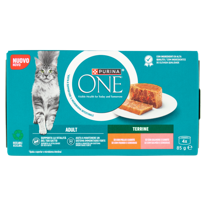 PURINA CAT PO/CAR SA/CAR G85X4